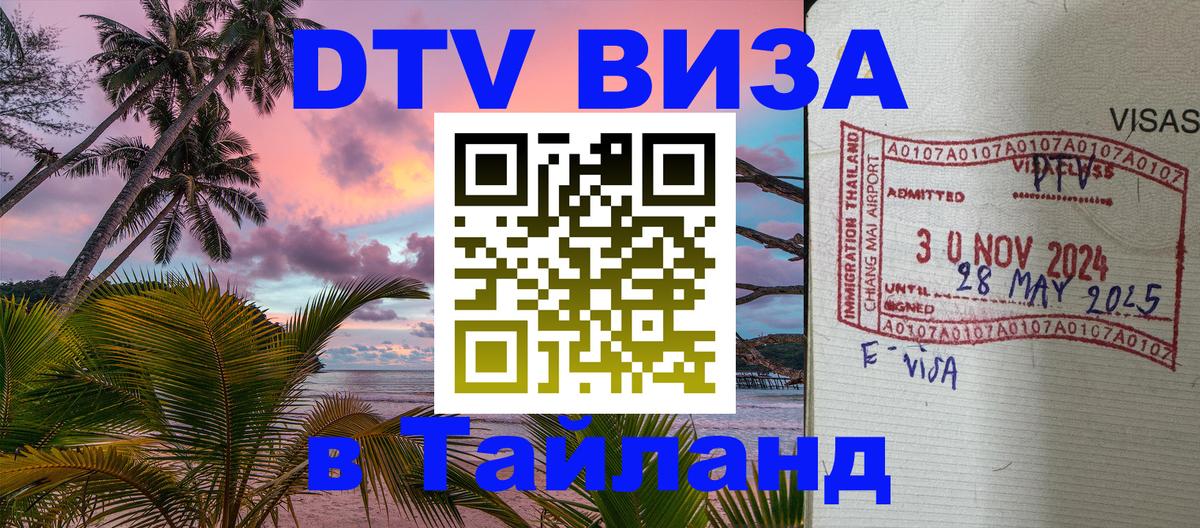 Сколько стоит DTV виза — актуальные цены, оформление даже без документов - 19.11.2025 